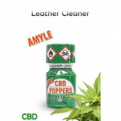 Green Power Cbd 10Ml - Leather Cleaner Amyle